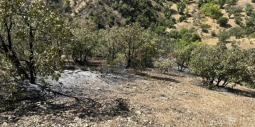 Bingöl'de orman yangını, 3'üncü gününde kontrol altında 34 Bingölde orman yangını 3üncü gününde kontrol altında