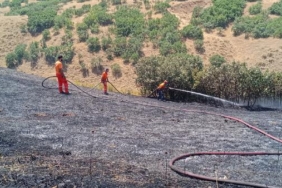 Bingölde orman yangını