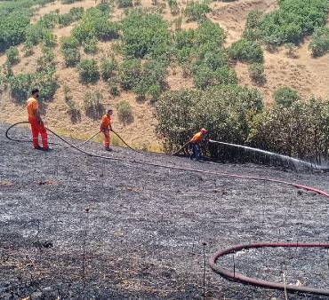 Bingölde orman yangını