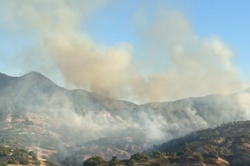 Bingöl’deki orman yangınında 2’nci gün (2) 40 Bingöldeki orman yangınında 2nci gün 2