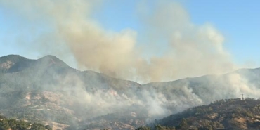 Bingöl’deki orman yangınında 2’nci gün (2) 3 Bingöldeki orman yangınında 2nci gün 2