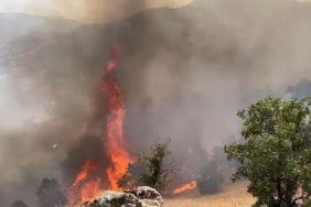 Bingöldeki orman yangınında 2nci gün