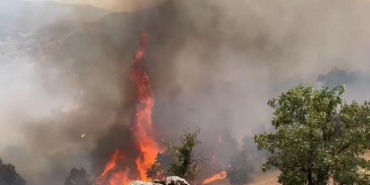 Bingöldeki orman yangınında 2nci gün