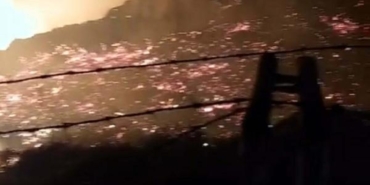 Bodrumda maki yangınında 15 dönüm alan zarar gördü