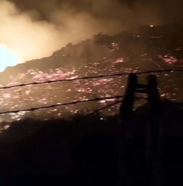 Bodrumda maki yangınında 15 dönüm alan zarar gördü