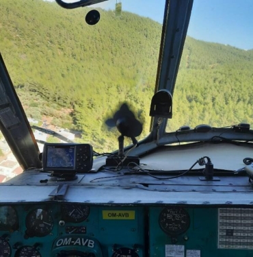 Bodrumda orman yangını 2