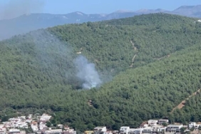 Bodrumda orman yangını
