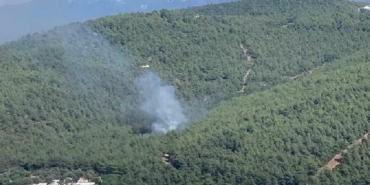 Bodrumda orman yangını