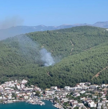 Bodrumda orman yangını