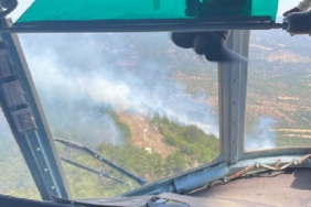 Bolu'da orman yangını, 26,5 saat sonra kontrol altında (3) 32 Boluda orman yangını 265 saat sonra kontrol altında 3