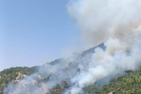 Bolu'da orman yangını (2) 11 Boluda orman yangını 2