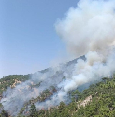 Boluda orman yangını 2