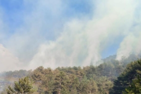 Boluda orman yangını 2