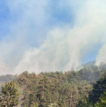 Boluda orman yangını 2