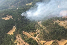 Bolu'da orman yangını 2'nci gününde 1 Boluda orman yangını 2nci gününde