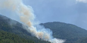 Boluda orman yangını