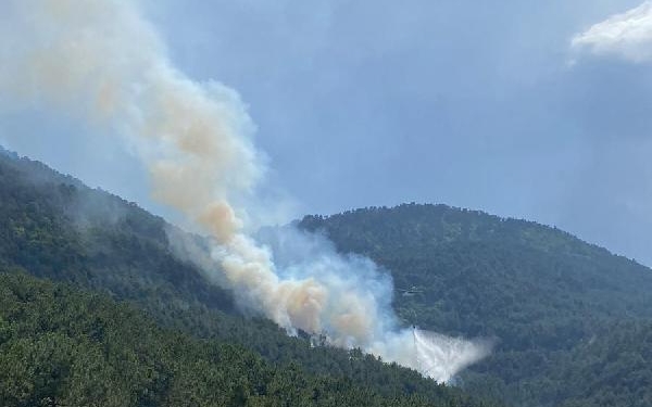 Boluda orman yangını