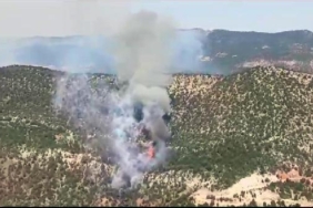 Bolu'da orman yangını 19 Boluda orman yangını