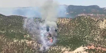 Boluda orman yangını