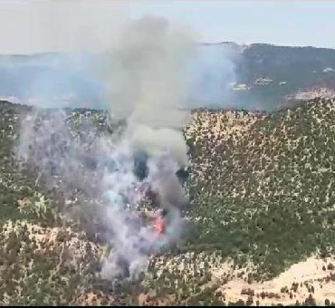 Boluda orman yangını