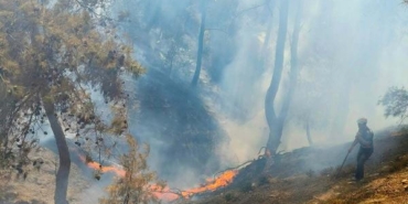 Burhaniye'deki orman yangınında 2 dönüm alan zarar gördü 9 Burhaniyedeki orman yangınında 2 dönüm alan zarar gördü