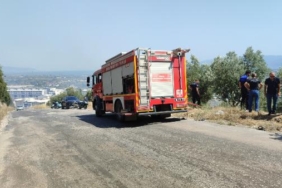 Bursada 2 farklı zeytinlikte yangın