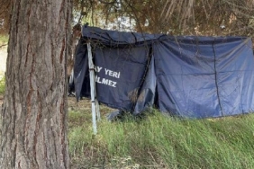 Bursada ormanda erkek cesedi bulundu