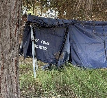 Bursada ormanda erkek cesedi bulundu