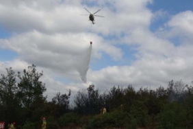 Çanakkalede orman yangını 2 saatte kontrol altında