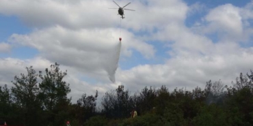 Çanakkale'de orman yangını; 2 saatte kontrol altında 20 Çanakkalede orman yangını 2 saatte kontrol altında