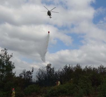 Çanakkalede orman yangını 2 saatte kontrol altında