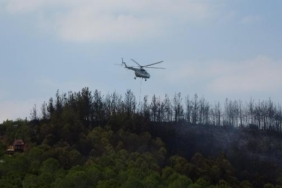 Çanakkalede orman yangını 2