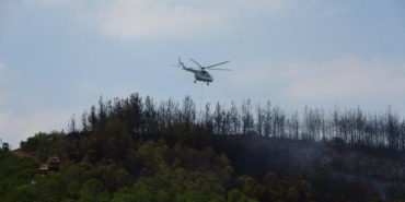 Çanakkalede orman yangını 2