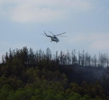 Çanakkalede orman yangını 2