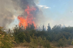 Çanakkalede orman yangını