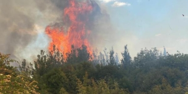 Çanakkalede orman yangını