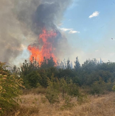 Çanakkalede orman yangını