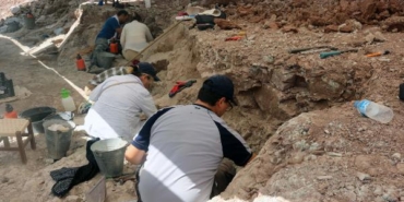 Çankırı'da, bu yıl 8,5 milyon yıllık 100 fosil bulundu 29 Çankırıda bu yıl 85 milyon yıllık 100 fosil bulundu