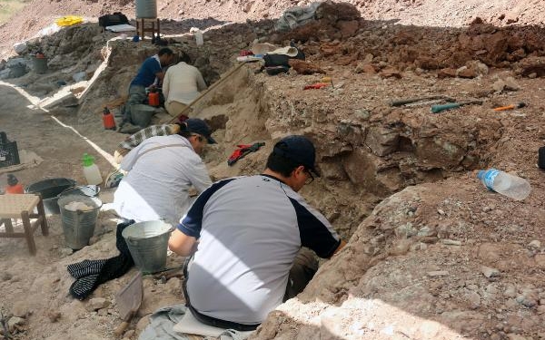 Çankırı'da, bu yıl 8,5 milyon yıllık 100 fosil bulundu 1 Çankırıda bu yıl 85 milyon yıllık 100 fosil bulundu