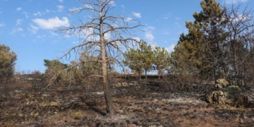 Çankırı’da çıkan yangında 10 dönüm orman zarar gördü 27 Çankırıda çıkan yangında 10 dönüm orman zarar gördü