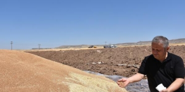 Çiftçiden ürün alan TMO’nun siloları dolunca, 300 dönümlük arazi kiralandı 32 Çiftçiden ürün alan TMOnun siloları dolunca 300 dönümlük arazi kiralandı