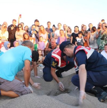 Çıralıda caretta caretta turizmi