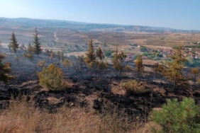 Çorumda 6 dönüm ağaçlık alan yandı