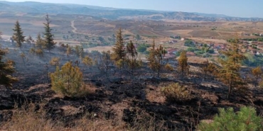 Çorumda 6 dönüm ağaçlık alan yandı