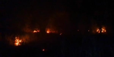 Çorum'da anız yangını kavak ağaçlarına sıçradı 24 Çorumda anız yangını kavak ağaçlarına sıçradı