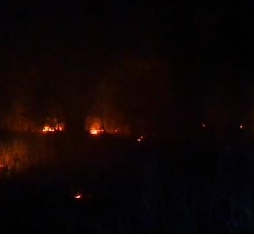 Çorumda anız yangını kavak ağaçlarına sıçradı