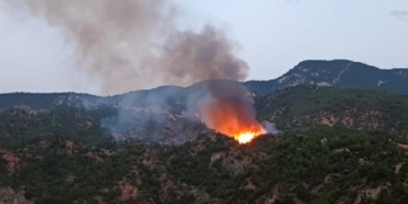 Çorum’da orman yangını