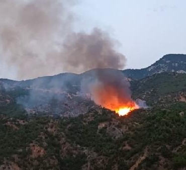 Çorum’da orman yangını