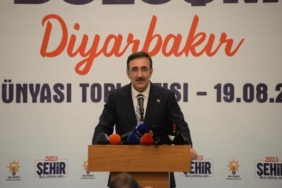 Cumhurbaşkanı Yardımcısı Yılmaz Hiçbir terör örgütünün gücü annelere yetmez 3