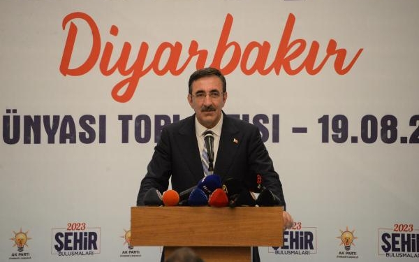 Cumhurbaşkanı Yardımcısı Yılmaz Hiçbir terör örgütünün gücü annelere yetmez 3